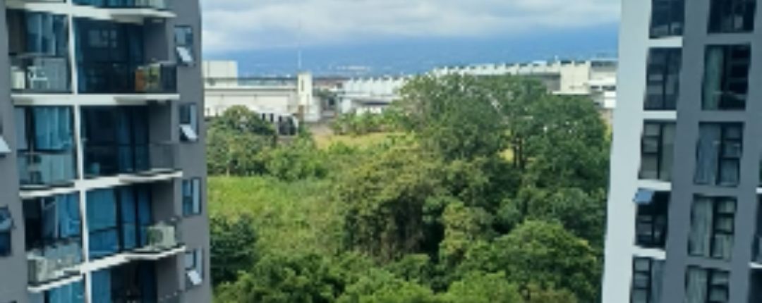 Vista al bosque entre las torres